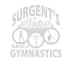 School Year: Gymnastics Girls Team Clinics
